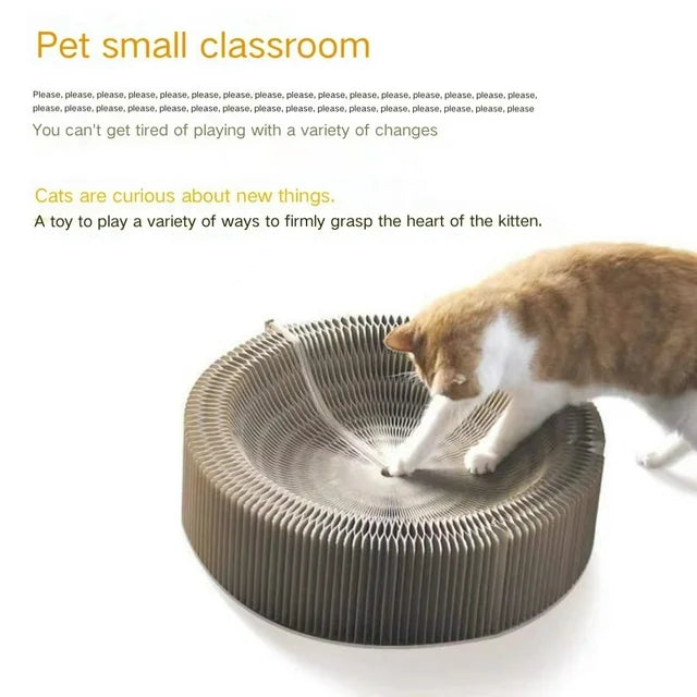 Shipixo - Cat Magic Organ Scratching Board