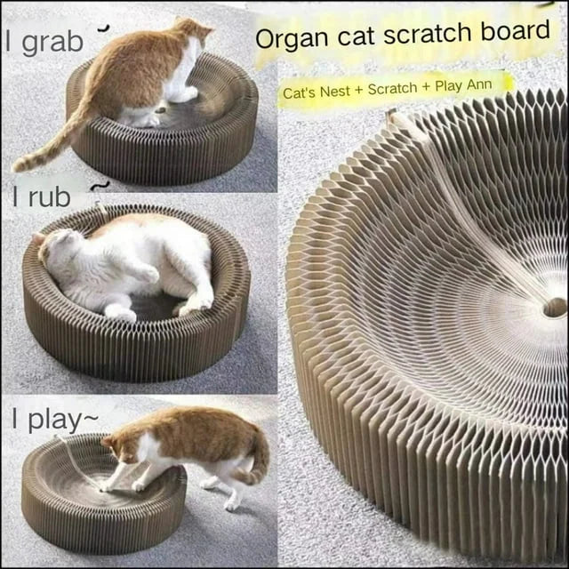 Shipixo - Cat Magic Organ Scratching Board