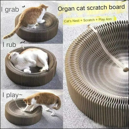 Shipixo - Cat Magic Organ Scratching Board