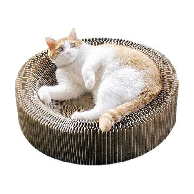 Shipixo - Cat Magic Organ Scratching Board