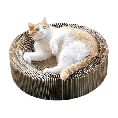 Shipixo - Cat Magic Organ Scratching Board