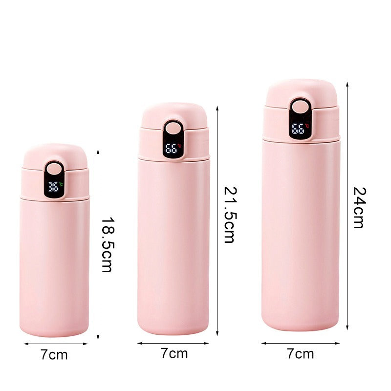 Stainless Steel Insulation Bottle With Straw