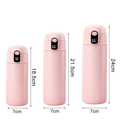 Stainless Steel Insulation Bottle With Straw