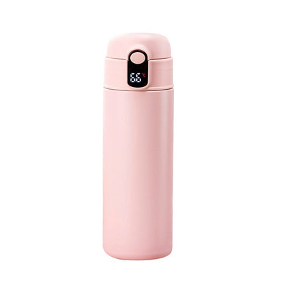 Stainless Steel Insulation Bottle With Straw